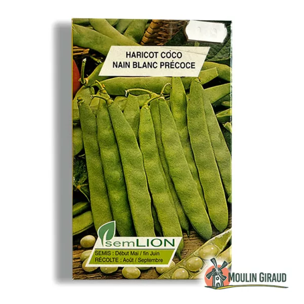 Haricot nain Coco Blanc précoce