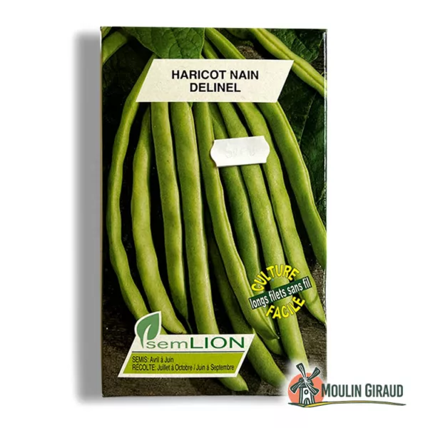 Haricot Delinel nain - long filets sans fil