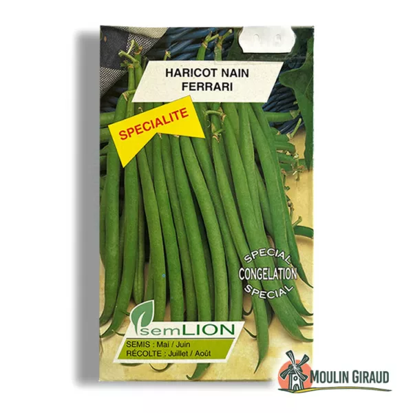 Haricot nain Ferrari