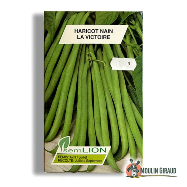 Haricot nain la Victoire