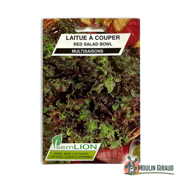 Laitue à couper Bowl rouge