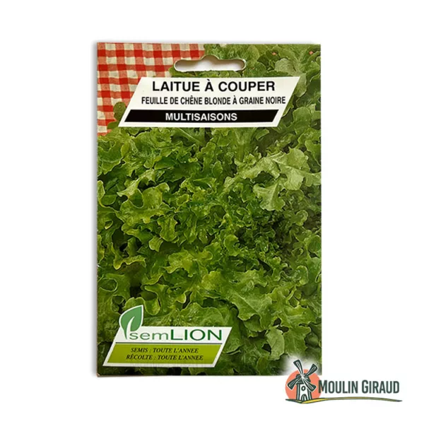 Laitue à couper Feuille de Chène blonde