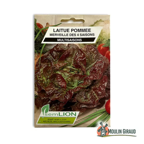Laitue d'été Merveille des 4 Saisons