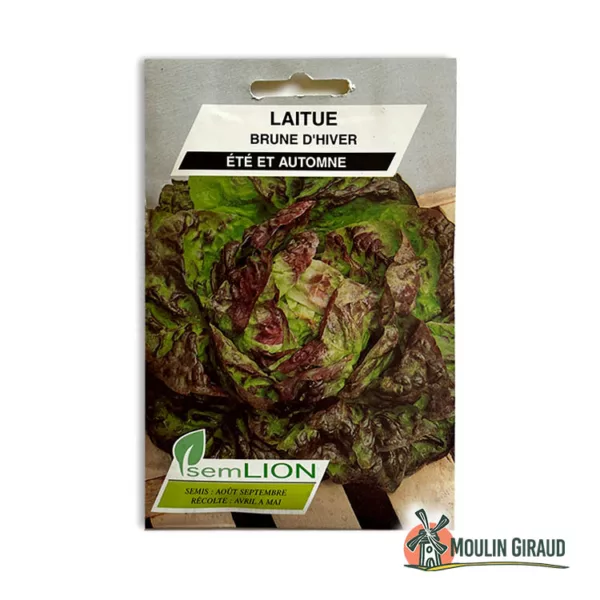 Laitue d'hiver brune d'hiver passion