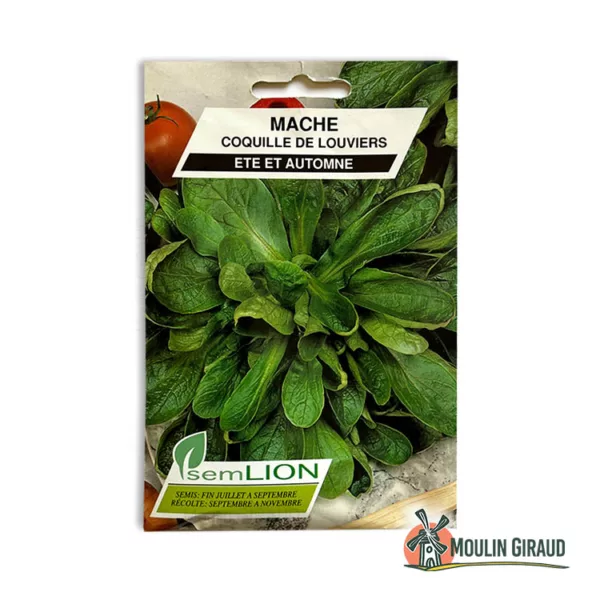 Mache coquille Louviers