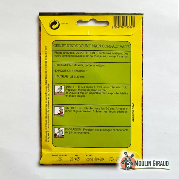 Oeillet d'Inde double nain Compact varié – Image 2