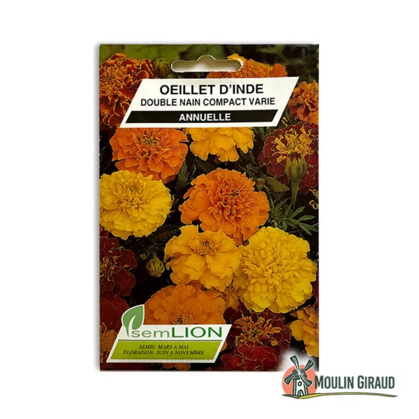 Oeillet d'Inde double nain Compact varié