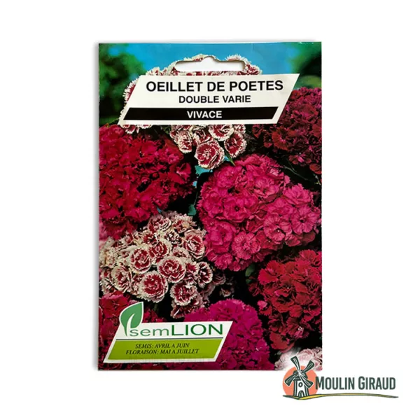 Oeillet des Poetes double varié