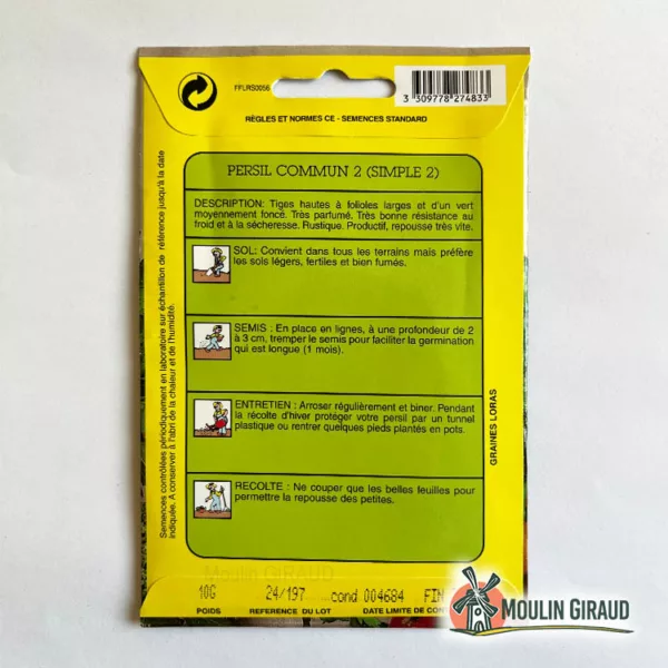 Persil commun – Image 2