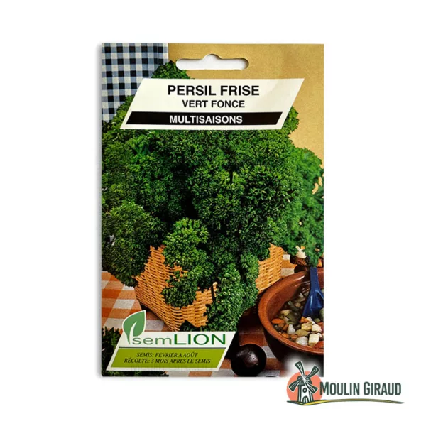 Persil frisé vert foncé