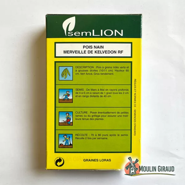 Pois nain Merveille Kelvedon – Image 2