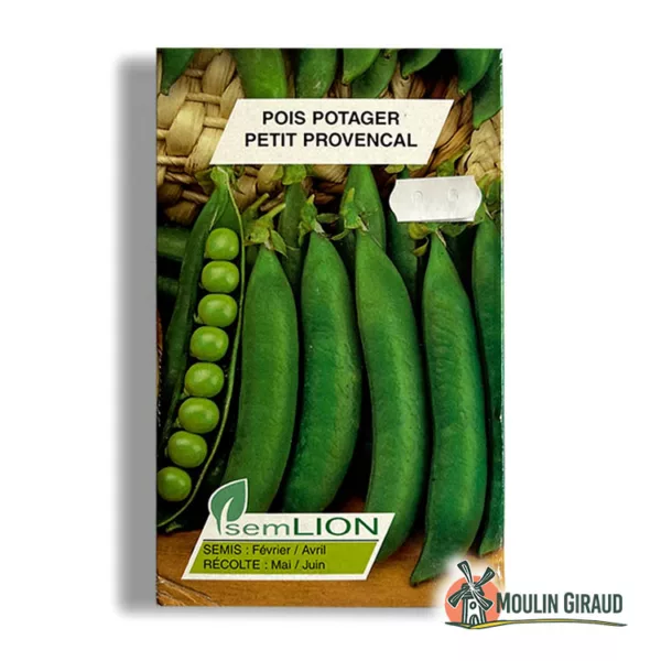 Pois nain petit Provençal