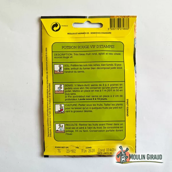 Potiron rouge vif d'Etampes – Image 2