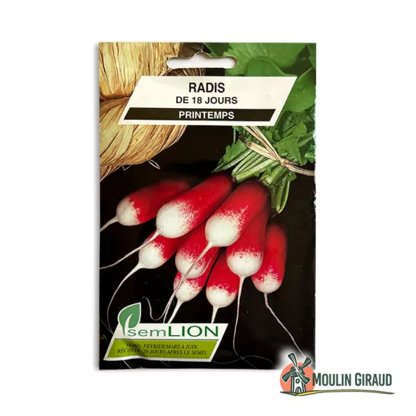 Radis 18 jours