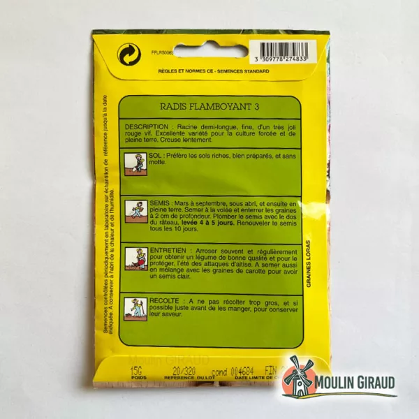 Radis flamboyant – Image 2