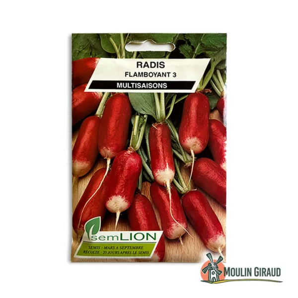 Radis flamboyant