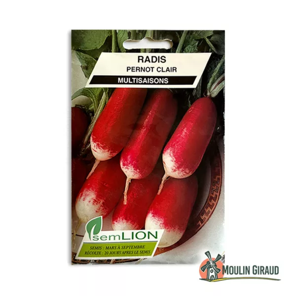 Radis Pernot