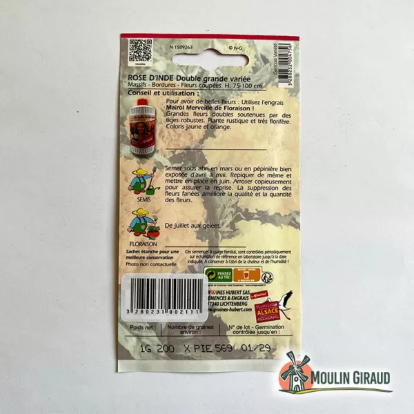 Rose d'Inde Double Grande Varié – Image 2