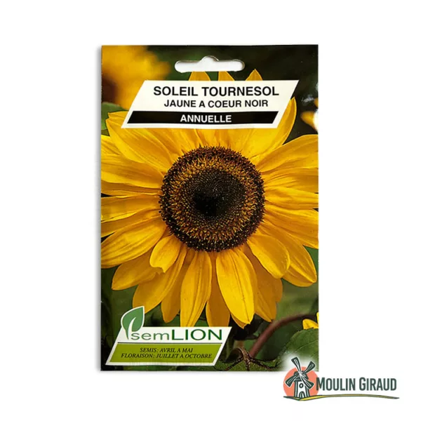 Soleil Tournesol jaune coeur noir
