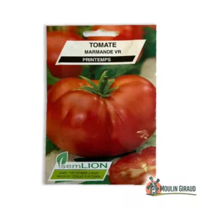 Tomate Marmande