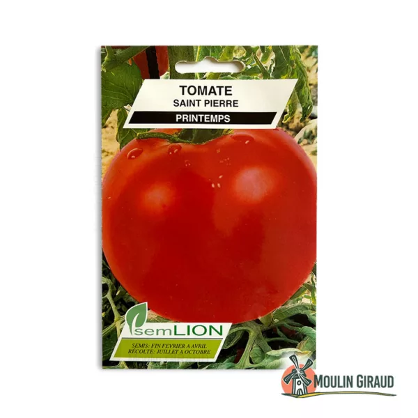 Tomate Saint Pierre