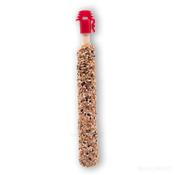 Sticks Petit Perroquets Noix et Raisins x2 – Image 2