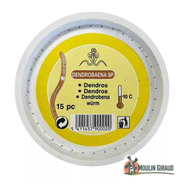 Vers Dendros PLC (15 vers)
