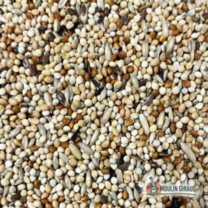 Perruches - Prestige