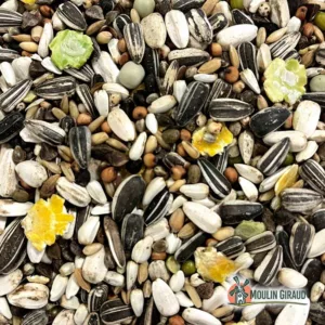 Perroquets Elevage - Prestige